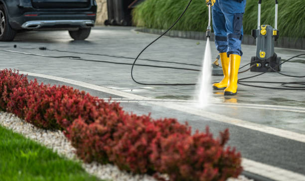 Boat and Dock Cleaning in Greenbriar, FL